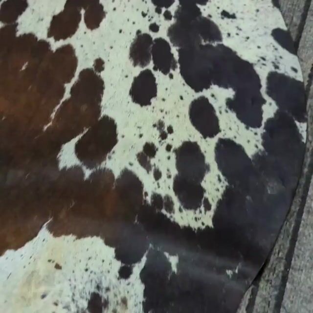Vídeo de Nobre Tapetes de couro