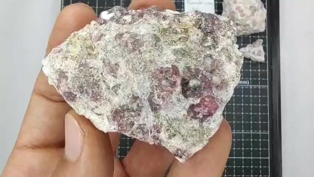 Video de 203 gr Granate Frambuesa con Vesuvianita de Coahuila (5 pz)