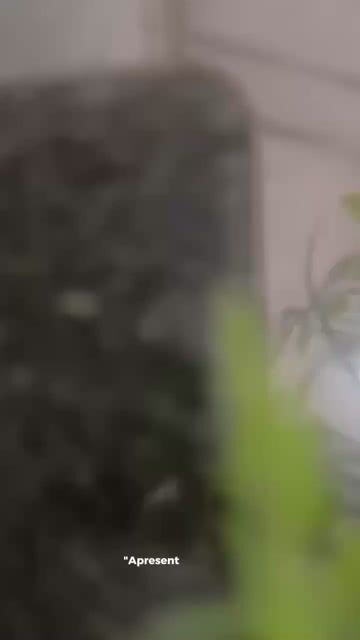 Vídeo de Paulimarx Conceito - O melhor em metais para sua Casa: Torneira, Chuveiro, Ducha, Ralo, Misturador, Válvula, Acabamento