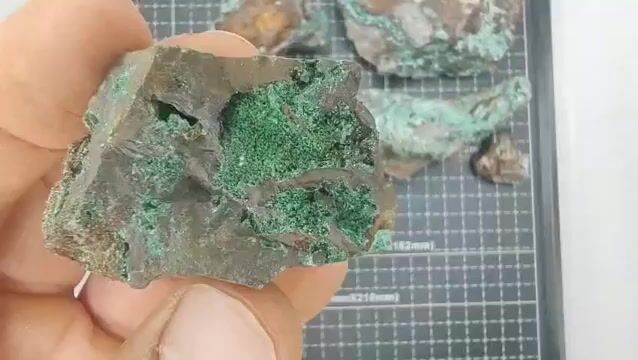 Video de 687 gr Brochantita y Atacamita (6 pz) - Minerales de Colección