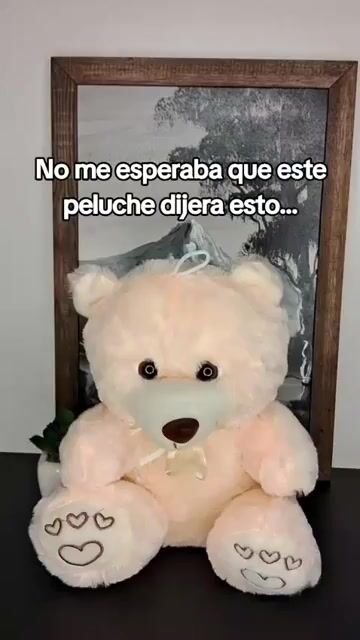 Video de Peluches Magic