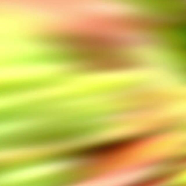 Vídeo de Sedum Candy