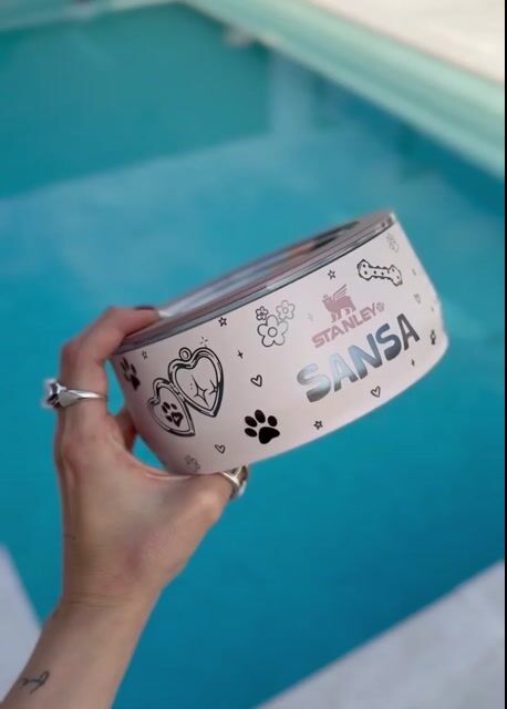Video de LÍNEA MASCOTAS ✨: PET BOWL STANLEY| 709 ml FULL PERSONALIZADO - TÉRMICO
