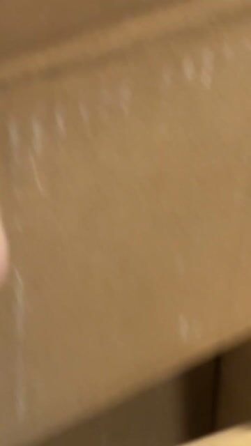 Video de Set X16 piezas de vajilla CALIDAD ALTA - Negro