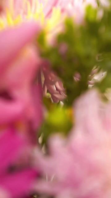 Video de Kosmos Cosmética