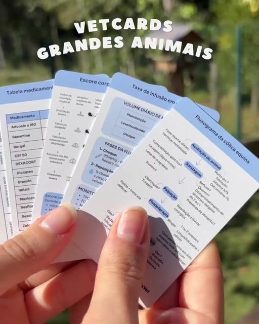 Vídeo de Loja VetCards