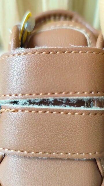 Video de Zapatos Caminantes Para Bebé Niño