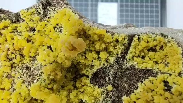 Video de Mimetita sobre Matriz | Pieza Única 789 g