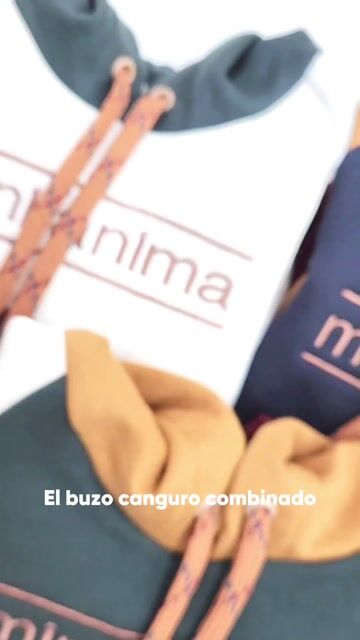 Video de Mini Ánima