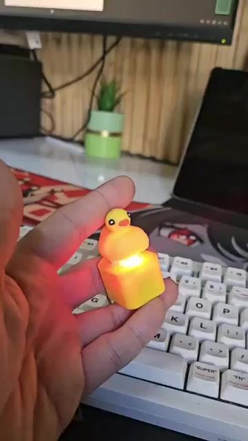 Video de ONICAPS