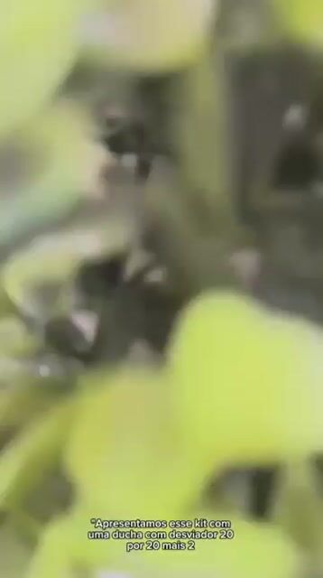 Vídeo de Paulimarx Conceito - O melhor em metais para sua Casa: Torneira, Chuveiro, Ducha, Ralo, Misturador, Válvula, Acabamento