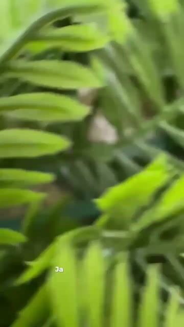 Vídeo de Paulimarx Conceito - O melhor em metais para sua Casa: Torneira, Chuveiro, Ducha, Ralo, Misturador, Válvula, Acabamento