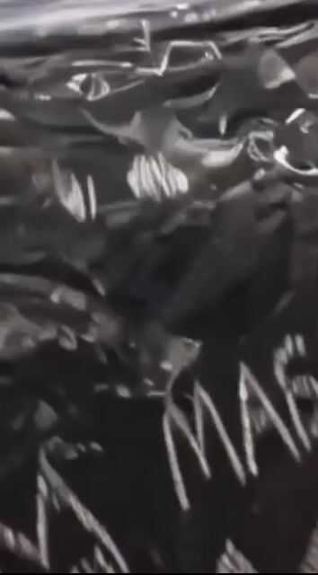 Vídeo de URBAN BLACK