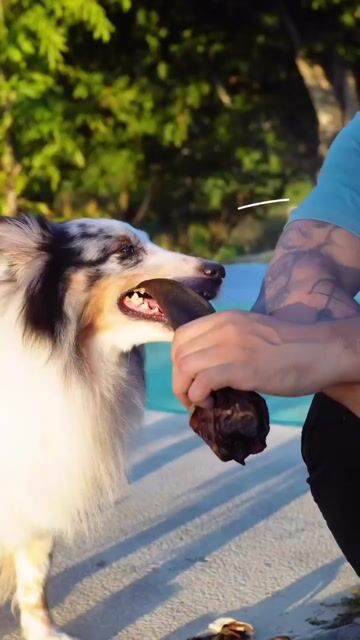 Vídeo de Good Lovin Snacks 