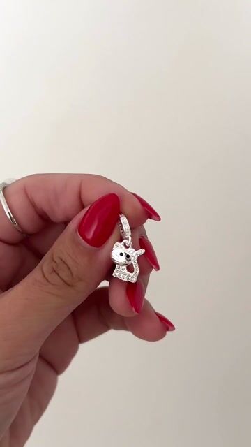 Video de Charm gatito