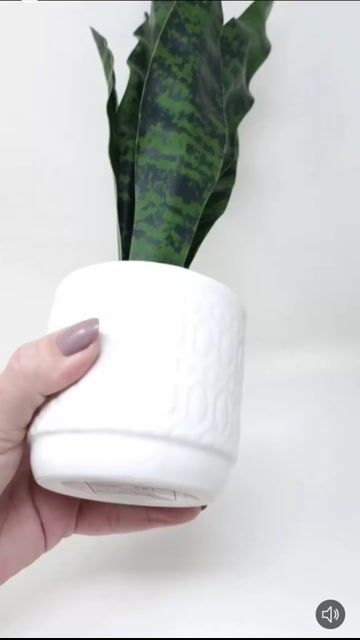 Video de Planta Artificial Sansevieria CERAMICA 36 cm