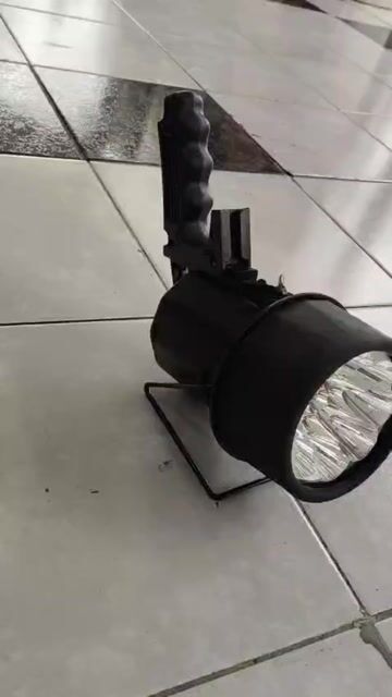 Video de Pezcalandia