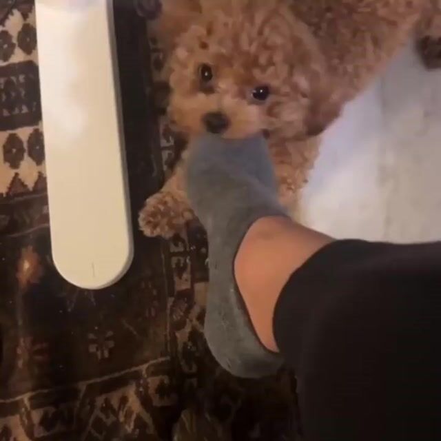 Video de Combo Calma Plus