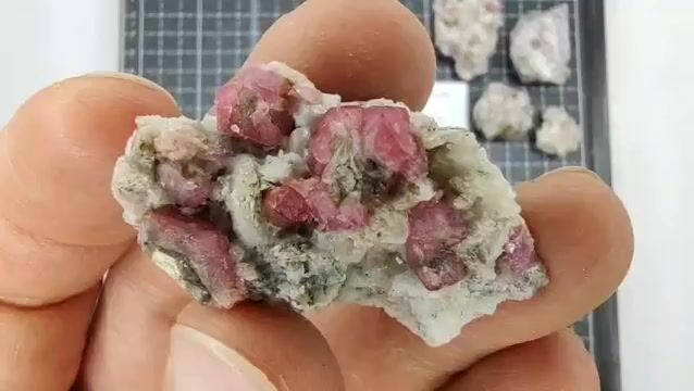 Video de 200 gr Granate Frambuesa de Coahuila (6 pz) - Minerales de Colección