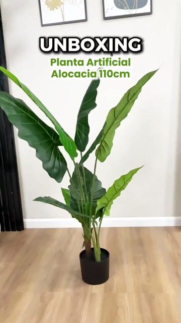 Video de Planta Artificial Alocasia 110cm Calidad Premium