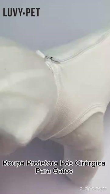 Vídeo de Roupa para Gato Pós Cirúrgica Castração Branca