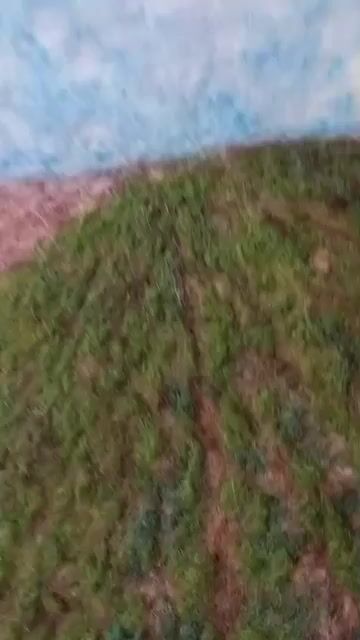 Video de Diderot.Art