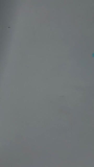 Video de Luva de Microfibra 18x24 Chenille + Removedor de Insetos