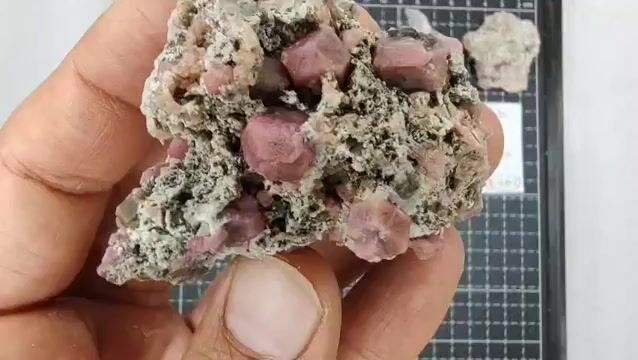 Video de 200 gr Granate Frambuesa de Coahuila (5 pz) - Minerales de Colección
