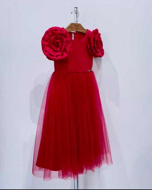 Vídeo de Vestido Vermelho com Mangas de Rosas em 3D e Saia de Tule