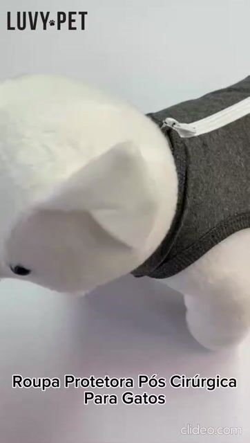 Vídeo de Roupa Gato Pós Cirúrgica Castração Grafite