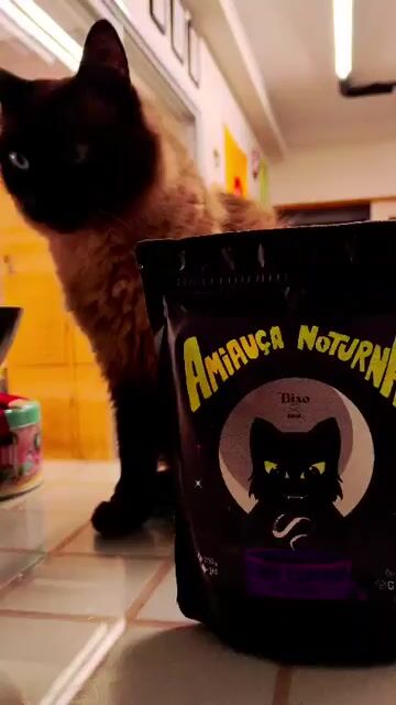 Vídeo de Bixo Café