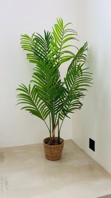 Video de Palmera Artificial 120 cm
