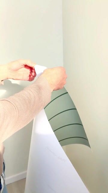 Video de Kit de Pared Completa - DINOS