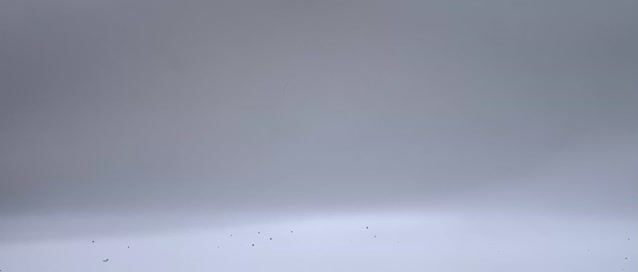 Video de Flanela de Microfibra 40x60 350GSM Premium Alta Performance