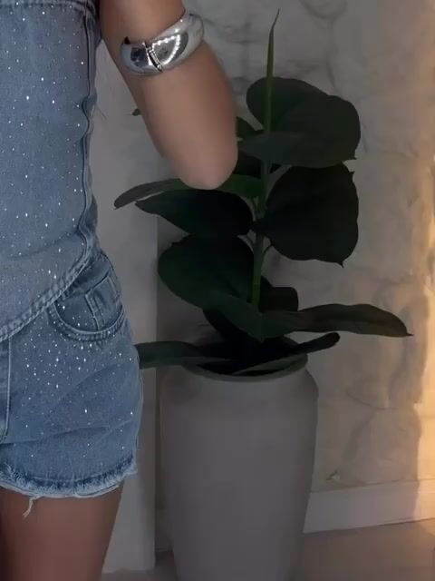 Vídeo de WARM