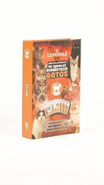 Video de Luminias Animales Domésticos Gatos