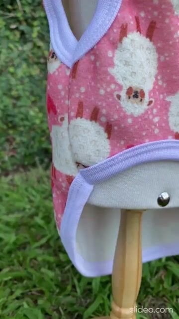 Vídeo de Roupa Pet para Cachorro Soft Bouclê Peluciado Ovelha