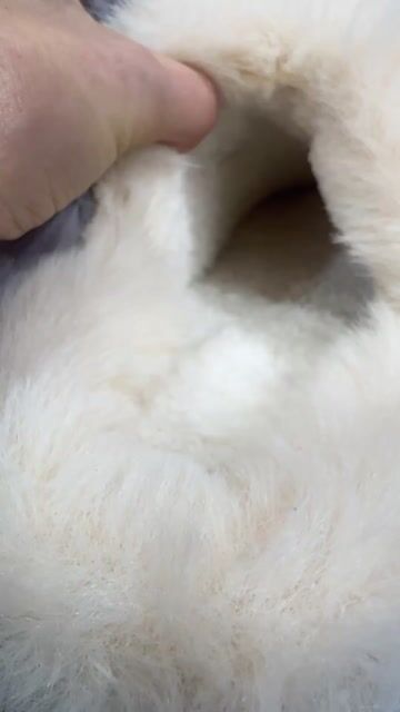 Video de Pantufla Piel 807