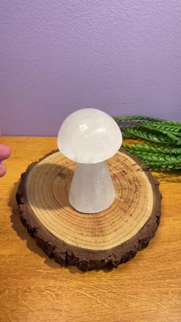 Vídeo de Loja Esotérica Fases da Lua - Produtos Esotéricos para elevar a sua energia