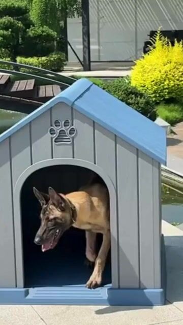Video de Cucha / Casa De Mascota Grande Térmica