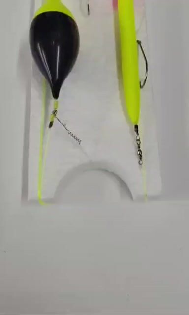 Video de Pezcalandia