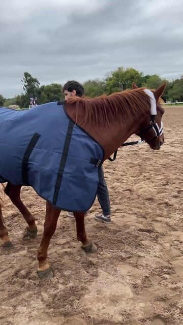 Video de MANTA MADOC DE ABRIGO KING - (copia)