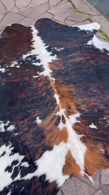 Vídeo de Nobre Tapetes de couro