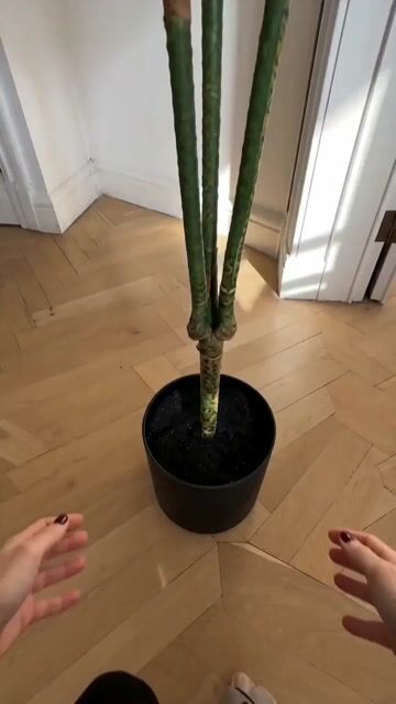 Video de Planta Dracaena Artificial 110 cm