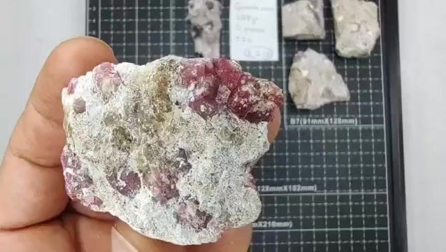 Video de 208 gr Granate Frambuesa con Vesuvianita de Coahuila (5 pz) - Minerales de Colección