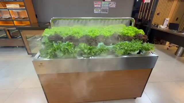 Vídeo de Inox Goyaz