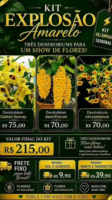 Vídeo de Orquidário Lumani