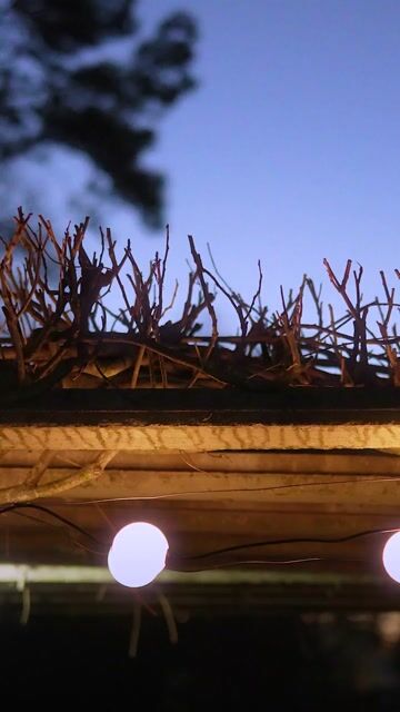 Video de MUNDO LED