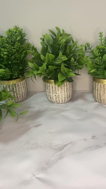 Video de Pack x8 Mini plantas Plantitas artificiales de plástico para interiores