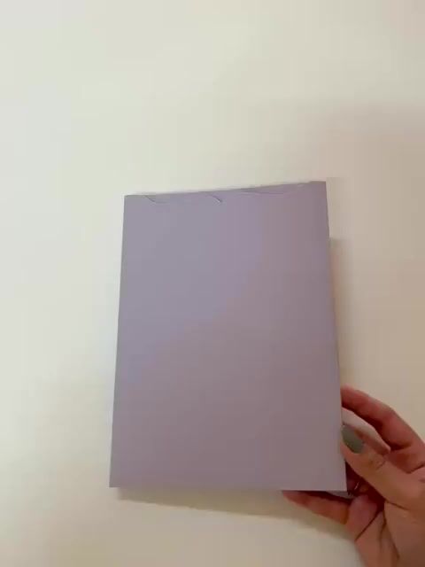 Vídeo de Envelope Modelo LUVA BORDADO